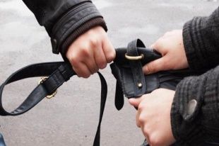 20-летний орловчанин на улице вырвал сумку из рук пенсионерки