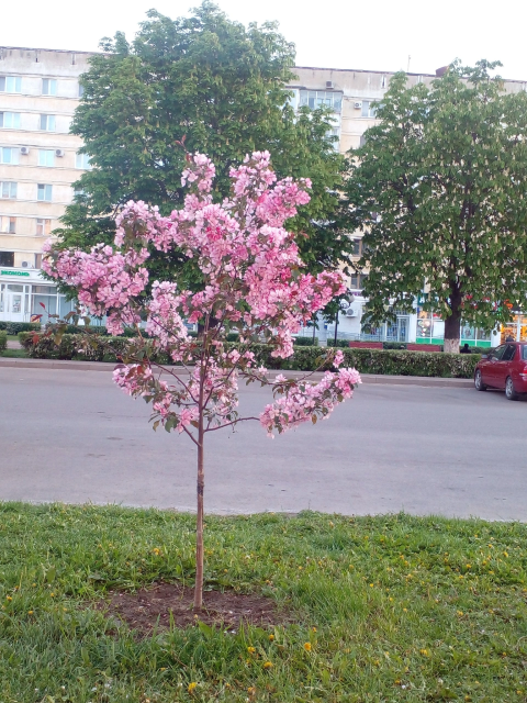 «Истоки» определили нового народного корреспондента 