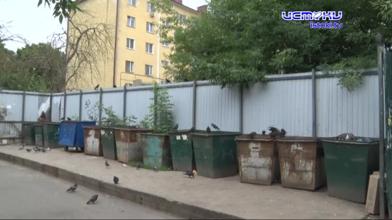 Почему накапливаются такие свалки и что делать, чтобы в вашем дворе такого не случилось?