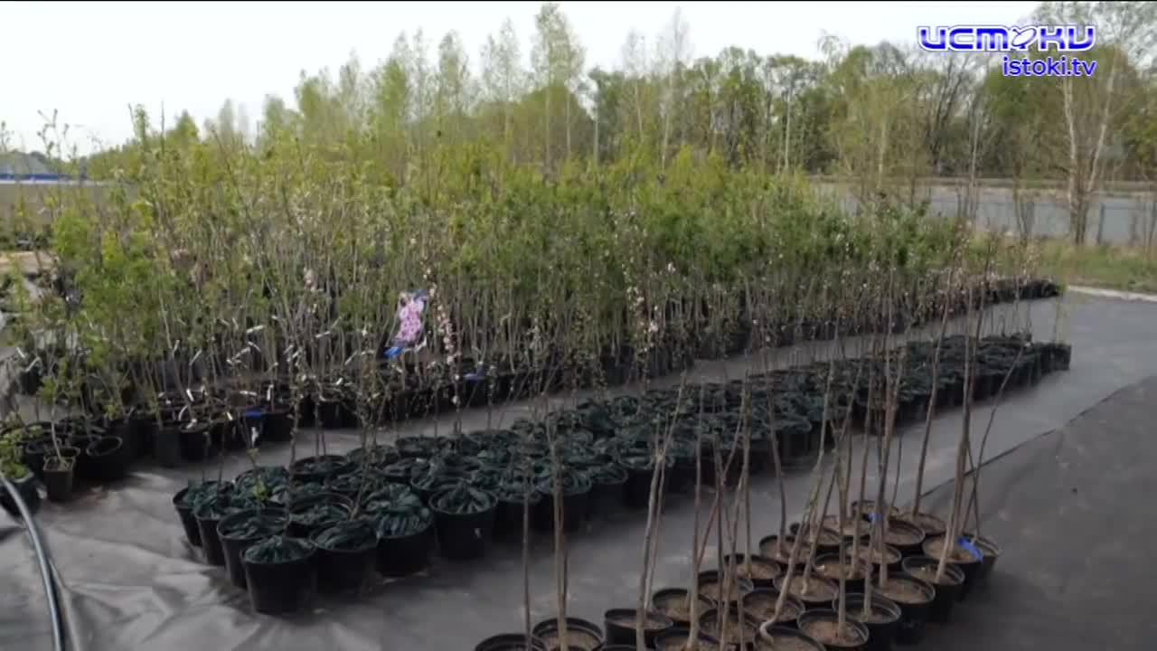 Экспертное мнение 07.05.2025