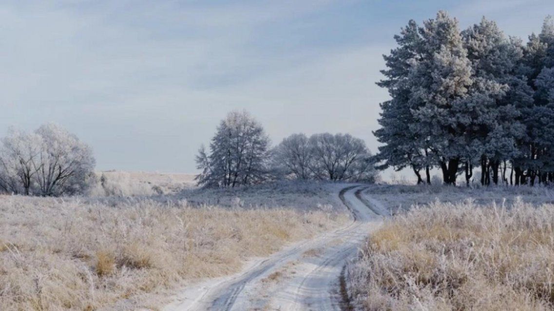 Предпоследний день года будет в Орле морозным и сухим