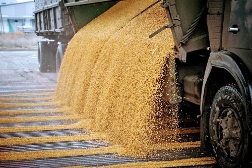 Россельхознадзор Подкарантинная продукция  контроль Россельхознадзор проконтролировал более 200 тысяч тонн подкарантинной продукции в Орловской и Курской областях при внутрироссийских перевозках
