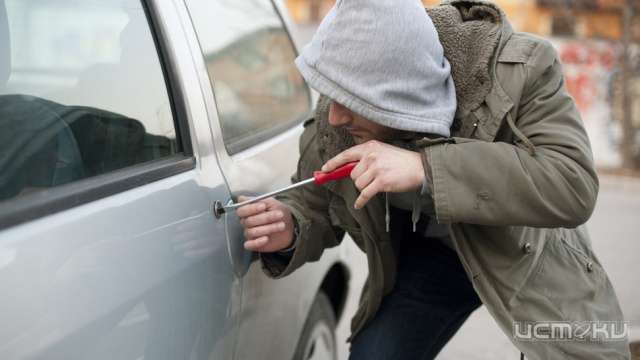 Жители Брянской области обокрали орловчанку