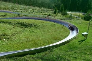 В орловском городском парке может появиться трасса Тобогган