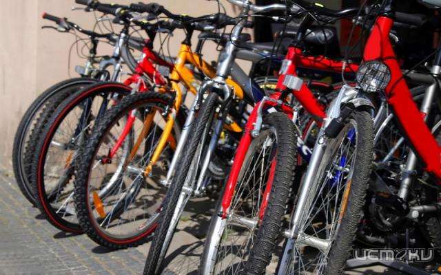 Орловский техникум закупит велооборудование на миллион рублей