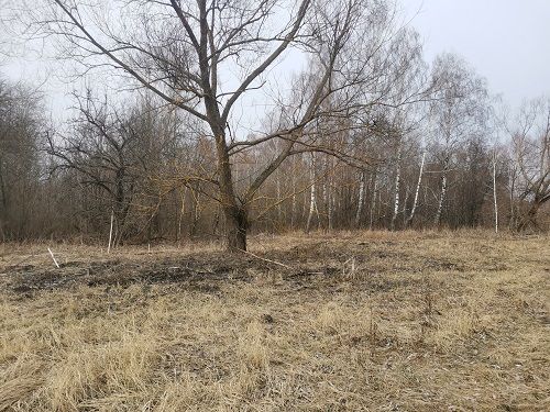 Московскую организацию заставили привести в порядок орловские земли