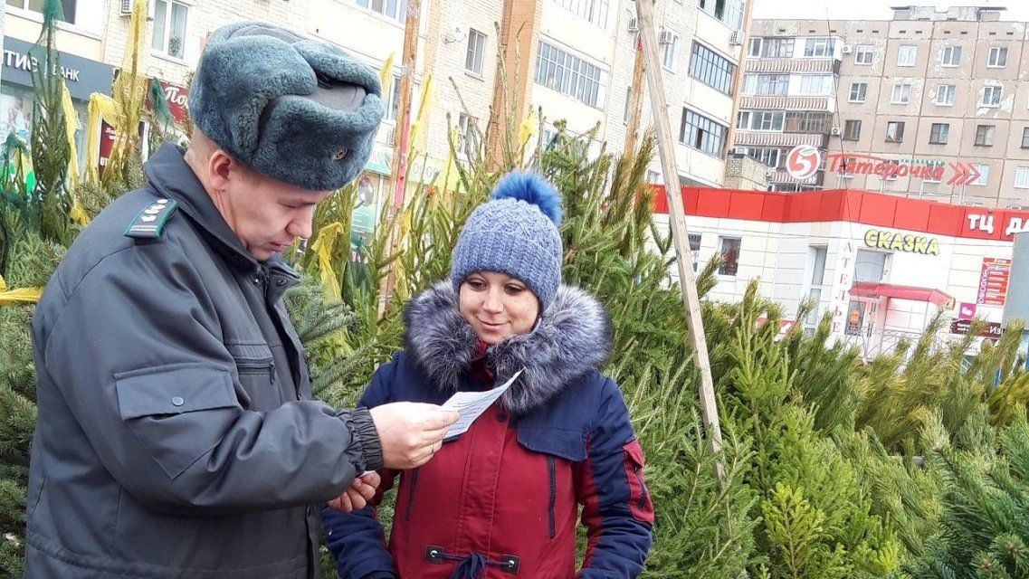 Россельхознадзор провел рейды по елочным базарам Орла