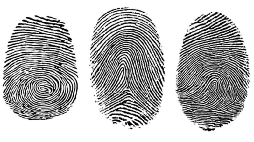 Отпечатки пальцев выдали подростков, угнавших «Оку» у жителя Знаменки