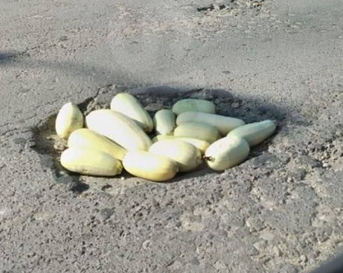 Кабачок как символ Верховского района 