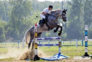 Ледно примет Чемпионат и Первенство области по конкуру