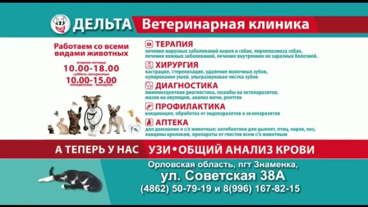 Ветеринарная клиника «Дельта» - залог здоровья ваших питомцев