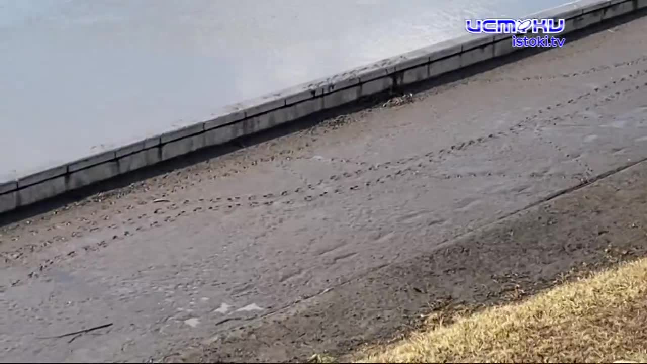 Почему жители региона задумались о покупке дельтапланов? Эта тема и не только была затронута в стриме главы региона накануне