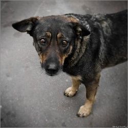 Кошмар на улице Матвеева