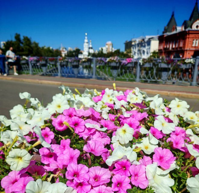 Бабье лето в Орловской области продержится до конца недели