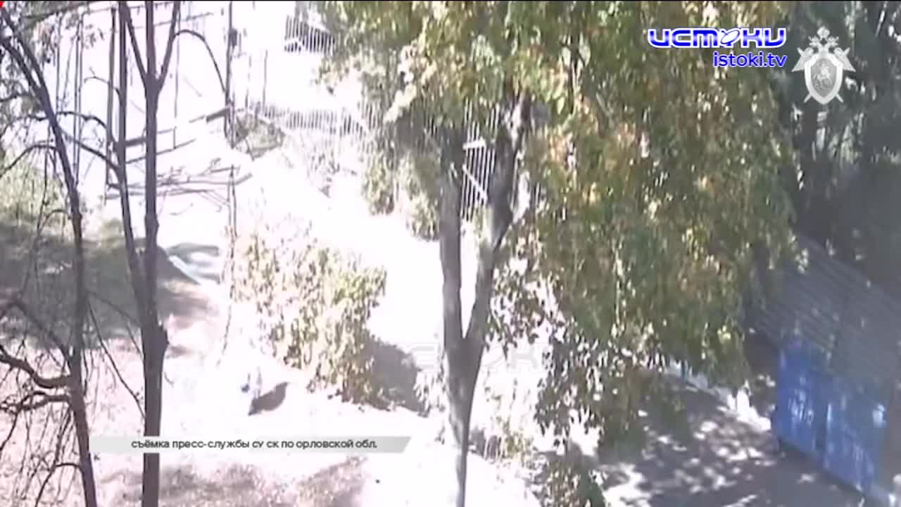 Рубрика "Экспресс - новости" 02.04.2024