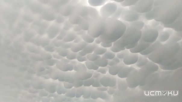 За ночь в Орловской области сбили 22 беспилотника