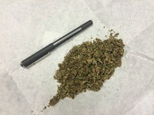 Полицейские нашли у жителя Урицкого района марихуану