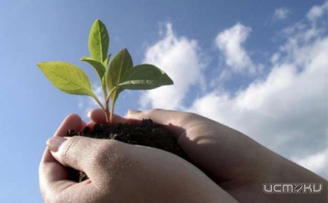 Экологический урок «Человек и природа: актуальные вопросы экологии современного мира» 