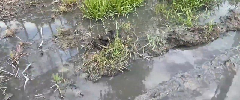 Новосильское шоссе в Орле превратилось в "фекальную реку"