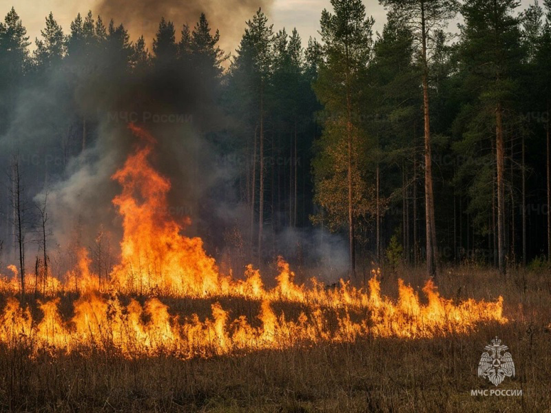 Прошедшие сутки для орловских спасателей: от тушения травы до помощи медикам