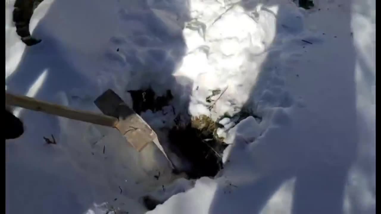 Зарплата 17 тыс. рублей, дыра в крыше и отсутствие туалета. Как работают медики в районах Орловской области?