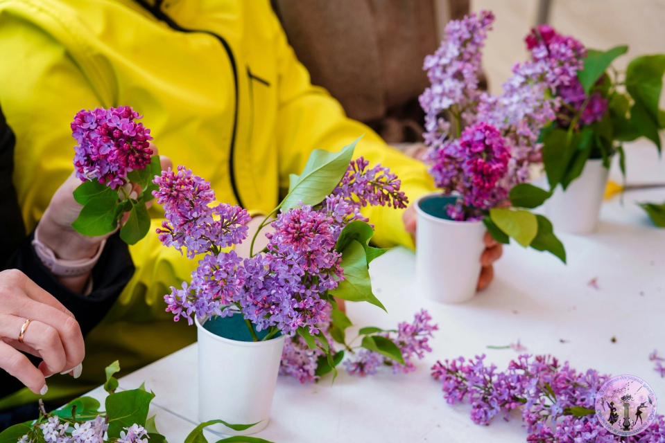 В Орловской области пройдет фестиваль цветущей сирени