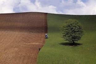  Два сельхозпотребкооператива и одна семейная животноводческая ферма получат господдержку 