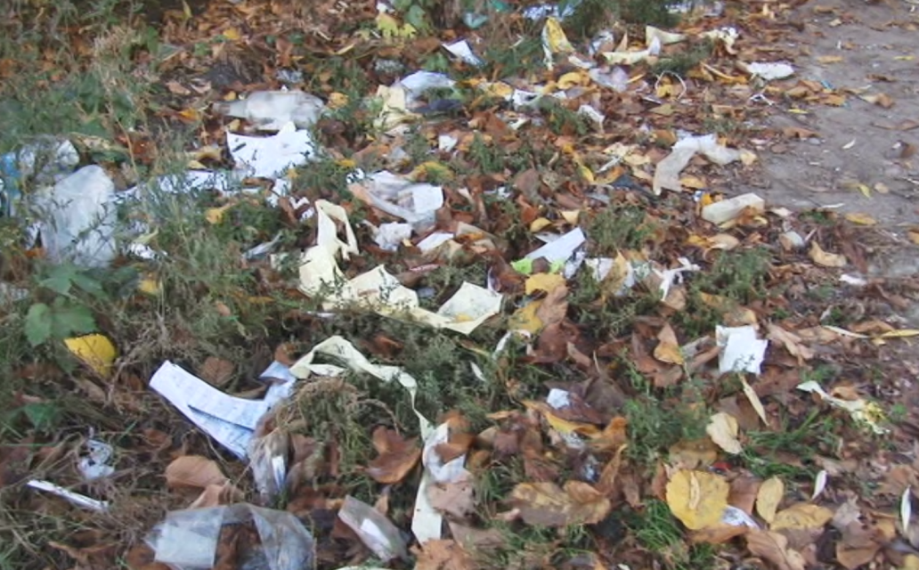 Каковы результаты проб, отобранных на свалках ТБО, которые появились на землях сельхозназначения, знают сотрудники Россельхознадзора