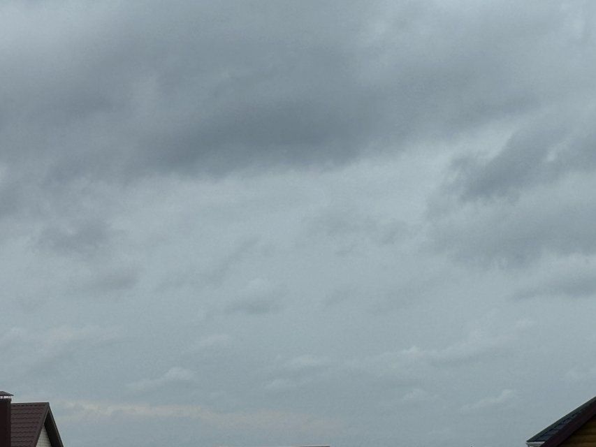 В Орловской области ожидаются порывы ветра до 20 м/с