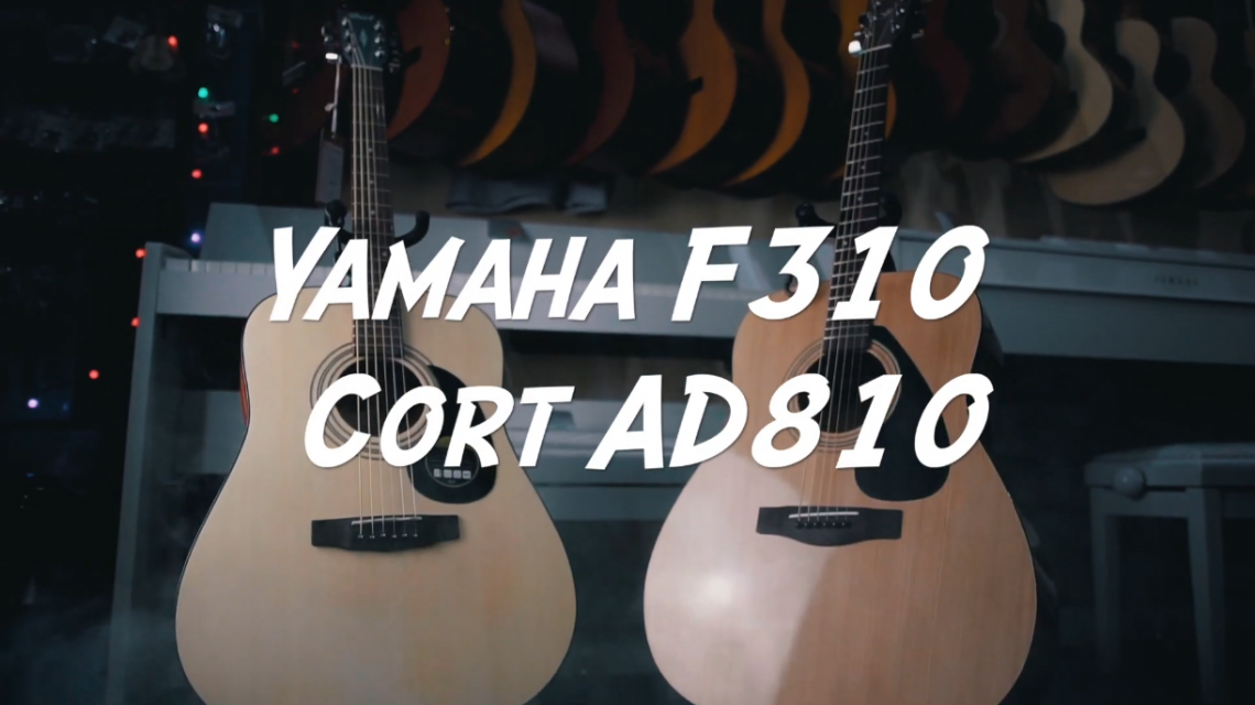 Как выбрать акустическую гитару