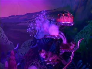 Театр кошек Юрия Куклачева прибыл в Орел 