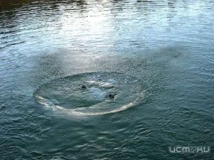 В Орловском районе в пруду утонул подросток