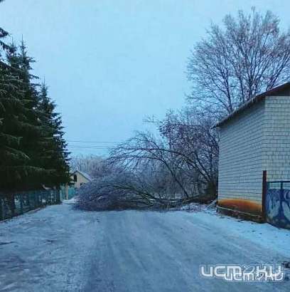 На Орловщине энергетики ликвидировали последствия сильного снегопада