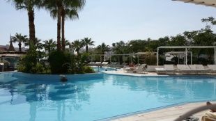 Орловчан не будут штрафовать за отказ от поездки в Египет