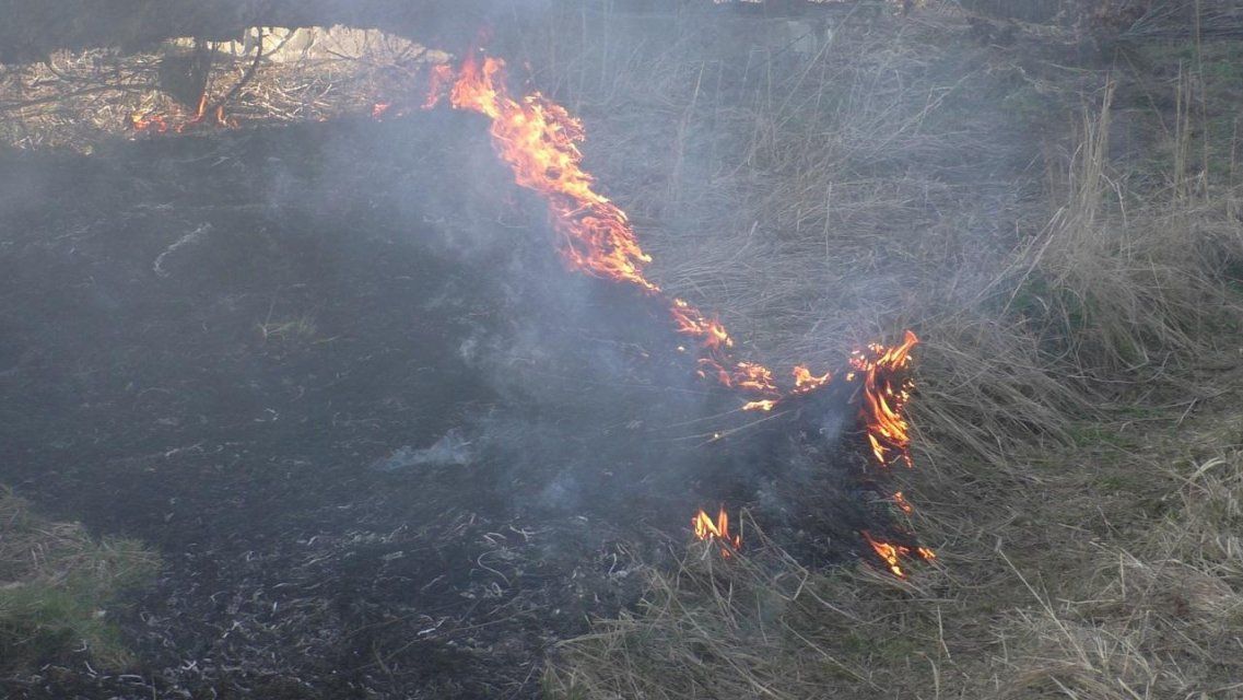 МЧС: Орловщина в опасности из-за возгораний сухой травы