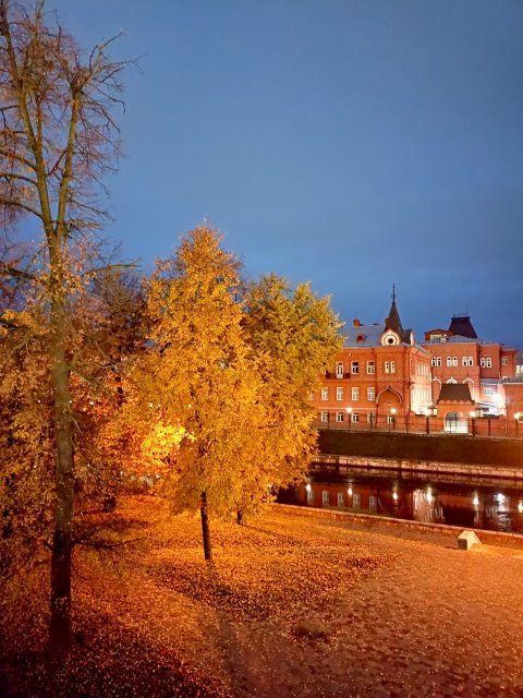 Осенние фотографии принесли орловчанину победу в нашем конкурсе «Народный корреспондент»