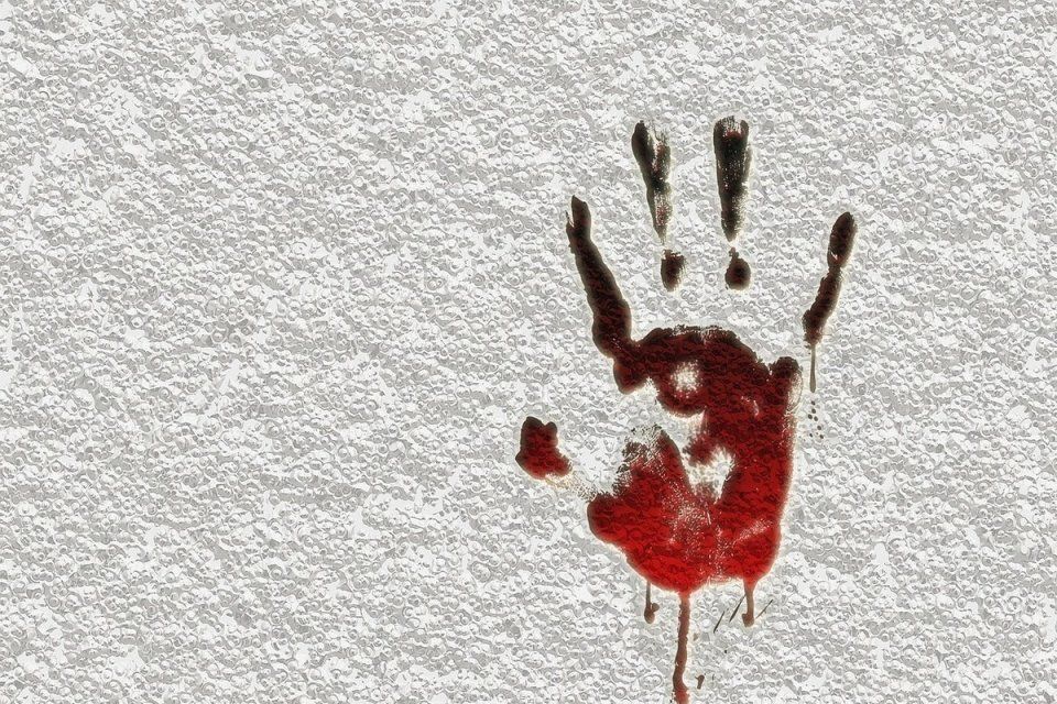 В Ливнах удалось найти вора по его кровавому следу