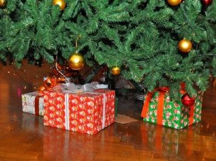 В ОГЦК пройдет муниципальная елка для детей с ограниченными возможностями