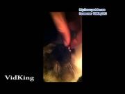 Кто сказал Мяу 25