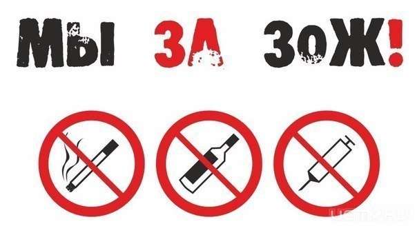 Орловчане могут написать эссе на тему ЗОЖ