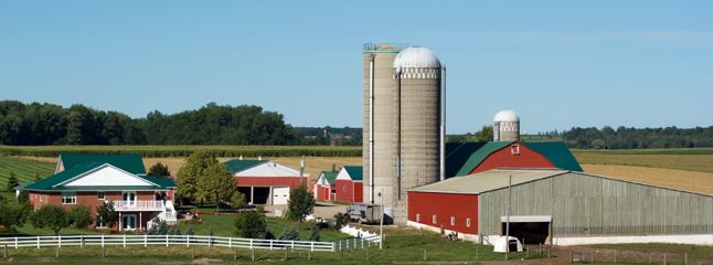 «Ростелеком» организовал виртуальную локальную сеть для филиала АО «Агрогард» в Орловской области