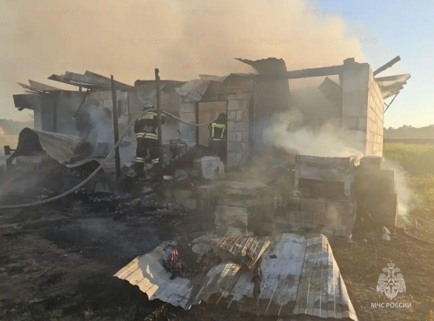 В МЧС рассказали подробности вчерашнего пожара в НовоОбразцово