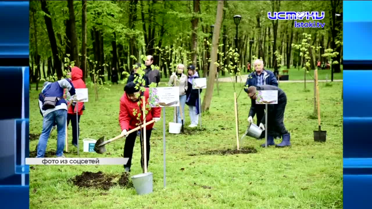 В Орле при ремонте ул. Бурова спилили здоровые деревья, в регионе нашли нарколабораторию, археологи передали находки в музей, а мы подвели итоги конку...