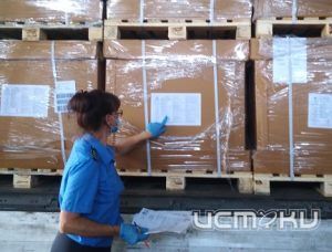 Россельхознадзор осуществил проверку 47 тысяч тонн экспортируемых товаров в Орле 