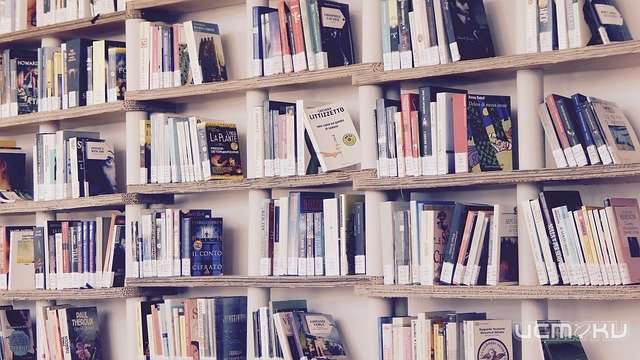 В Орле откроется ещё одна модельная библиотека