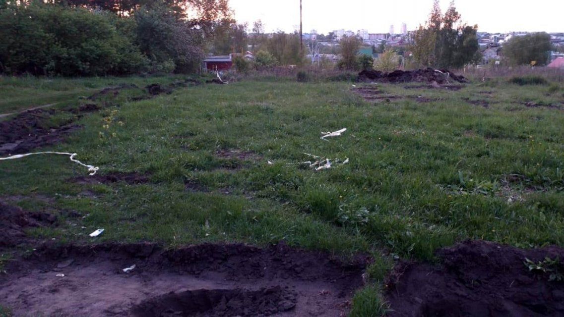 В орловских Лужках вандалы расправились с аллеей, посаженной к 9 Мая