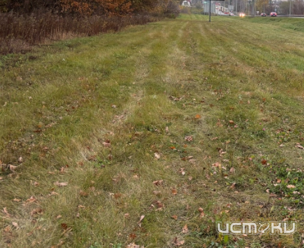 1-ю зам. главы администрации Орловского муниципального округа отправили под арест