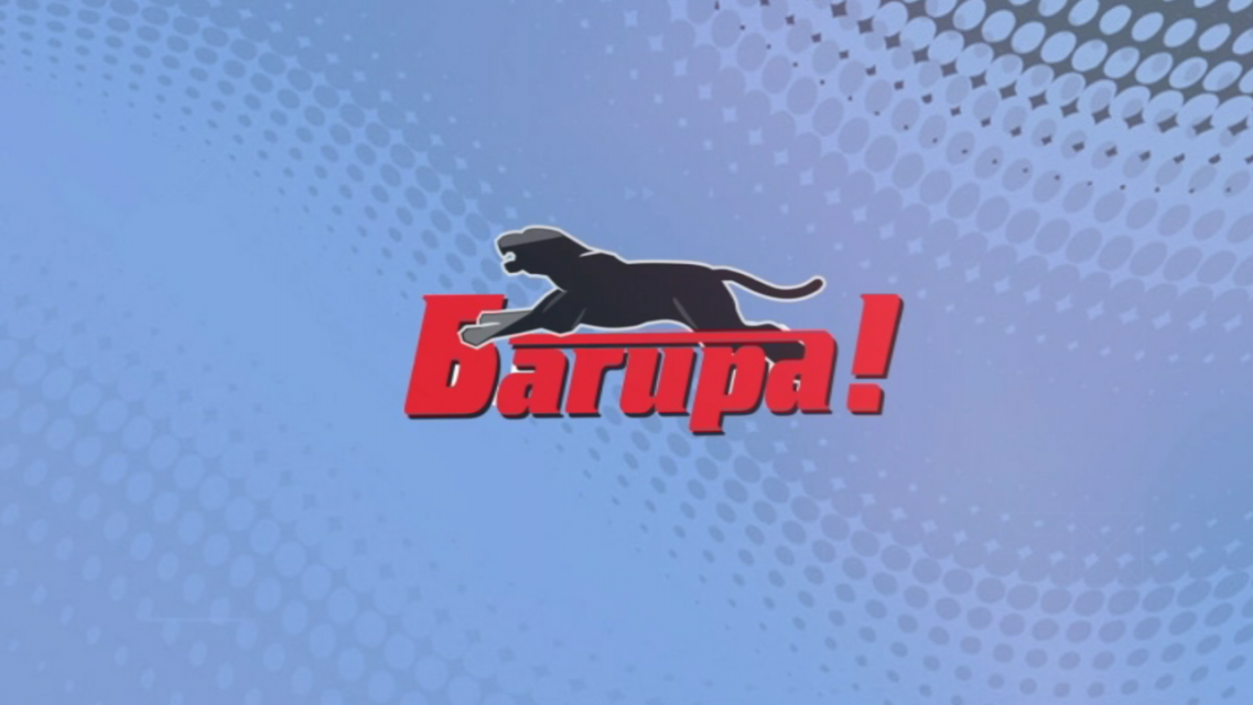 Если вам нужна компьютерная или цифровая техника, приходите в «Багиру»