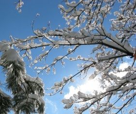 Начавшаяся рабочая неделя в Орле и области будет аномально теплой