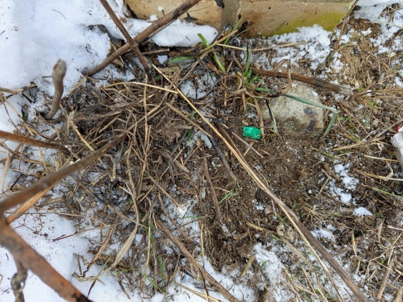 В Орле задержан молодой человек, подозреваемый в распространении наркотиков